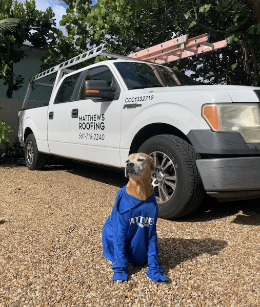 small roof repair contractor